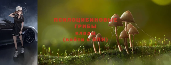 spice Арсеньев