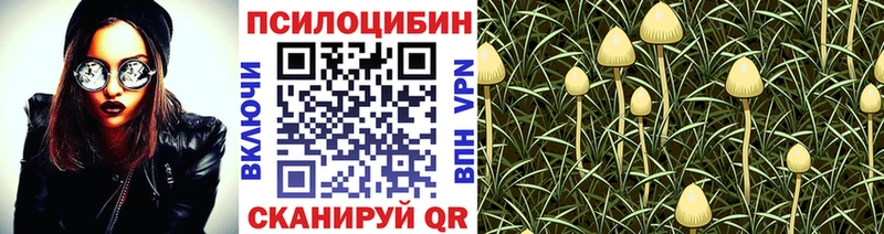 OMG сайт  Струнино  Галлюциногенные грибы Psilocybine cubensis 
